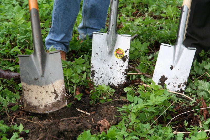 pepiniere-BARGEMON-min_work-lawn-flower-tool-green-backyard-1103633-pxhere.com